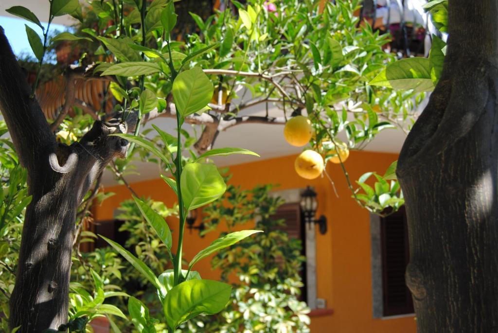 Residence Villa Il Glicine Taormina Ngoại thất bức ảnh