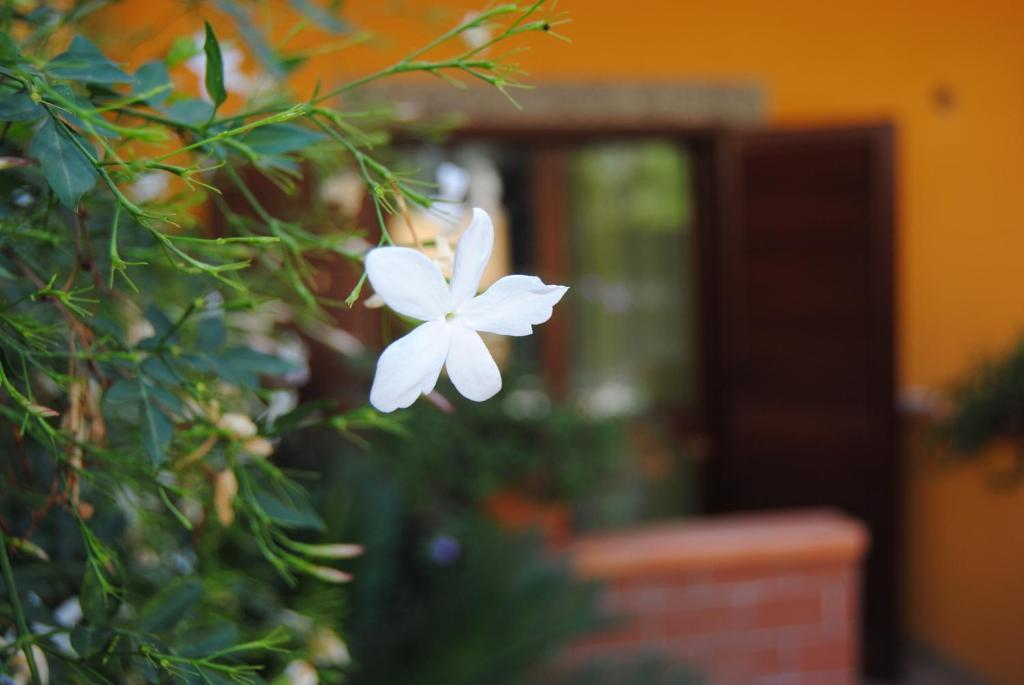 Residence Villa Il Glicine Taormina Phòng bức ảnh
